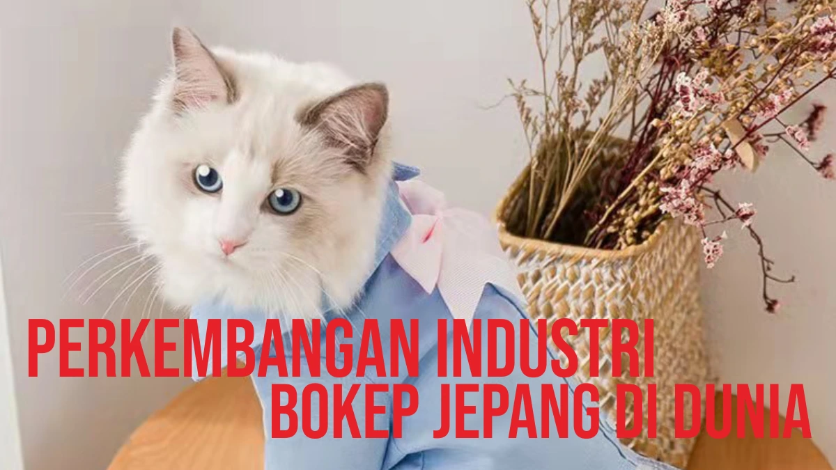 perkembangn industri bokep jepang